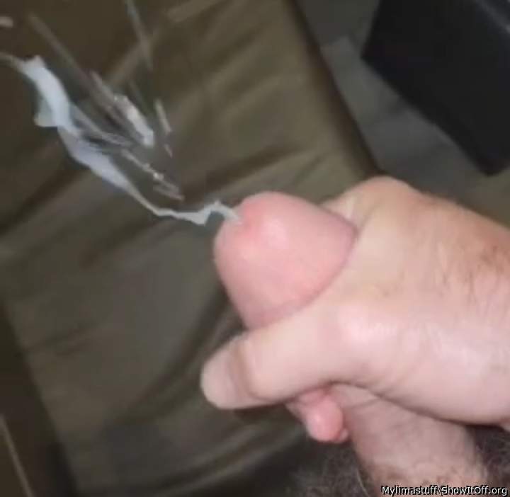 Photo of a third leg from Mylimastuff