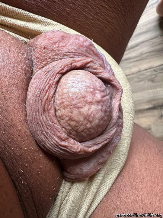 Ha! Just LOOK the sissy genital!