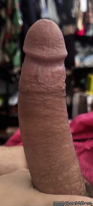 Photo of a cock from jjjjjjjjj