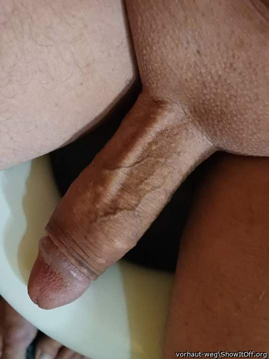 adult-cut cock