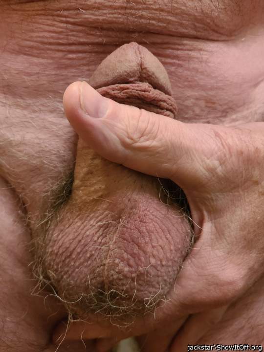 Testicles Photo from jackstar