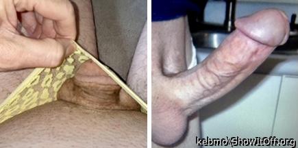 Photo of a snake from kebmo