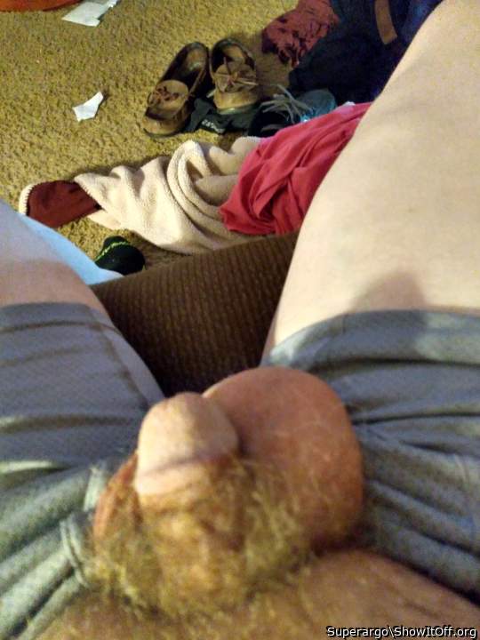 Photo of a short leg from Superargo