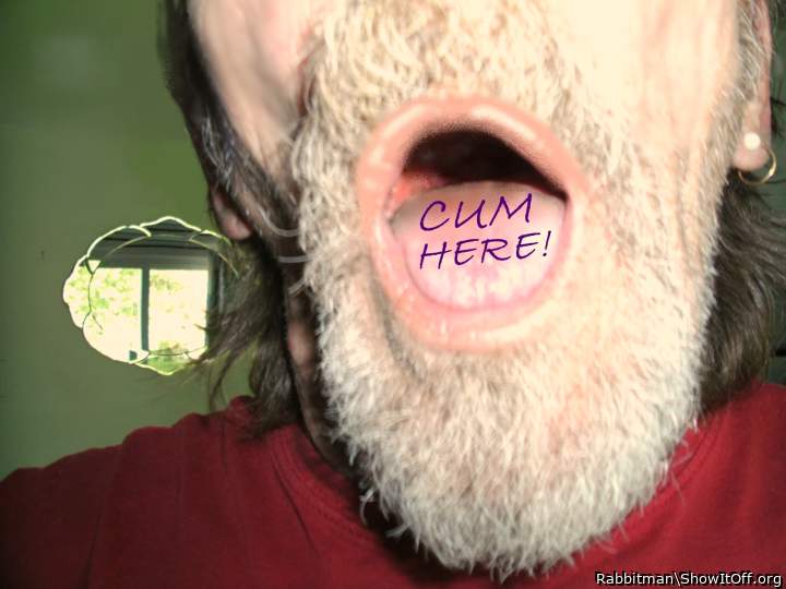 Cum Here
