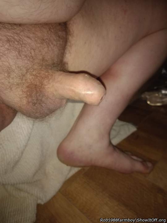 Photo of a cock from Rob1988farmboy