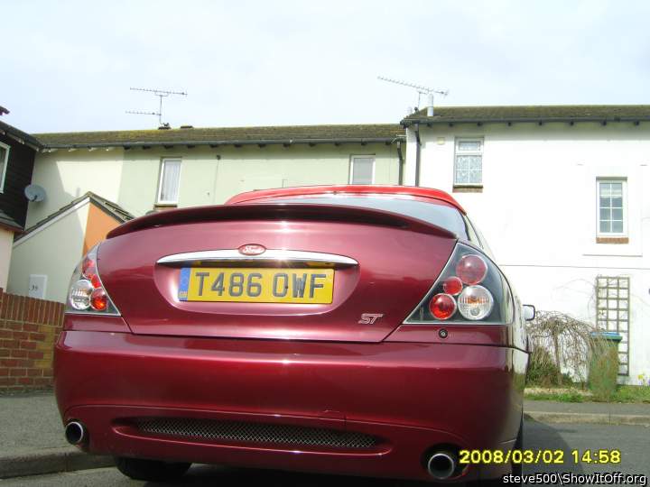 Photo of a lizard from steve500