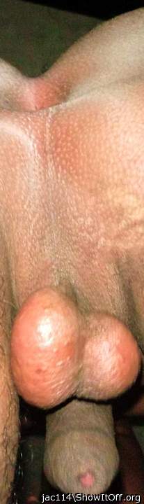 Testicles Photo from jac114
