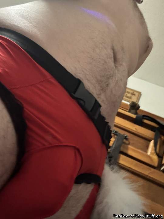 Photo of a penis from CenFoxxo