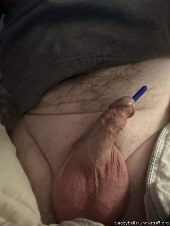 Photo of a python from Saggyballs