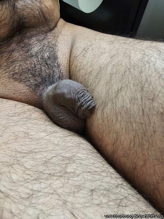 Photo of a bat from uncutnunhung