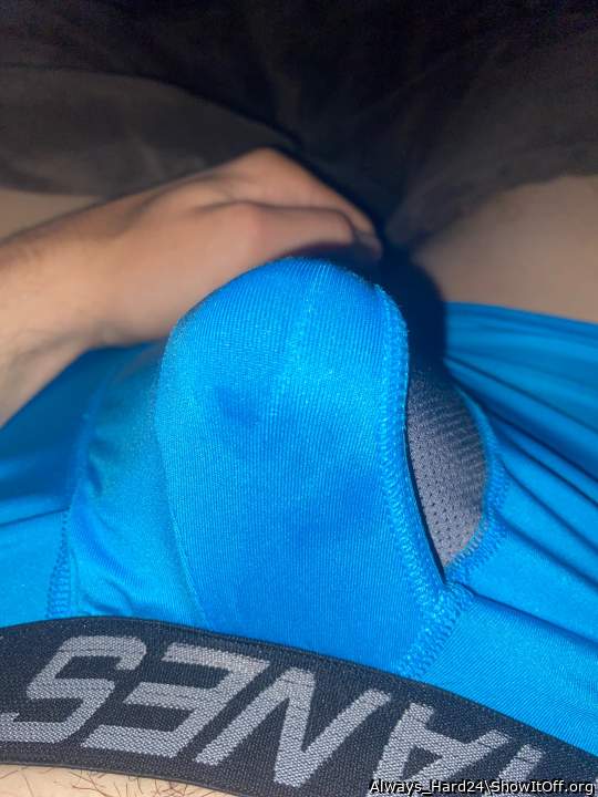 Photo of a weasel from Always_Hard24