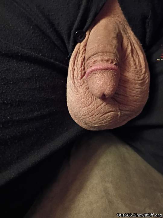 Photo of a hot dog from Otis666