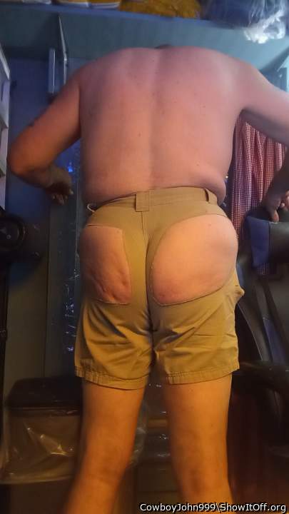 Photo of a bat from CowboyJohn999