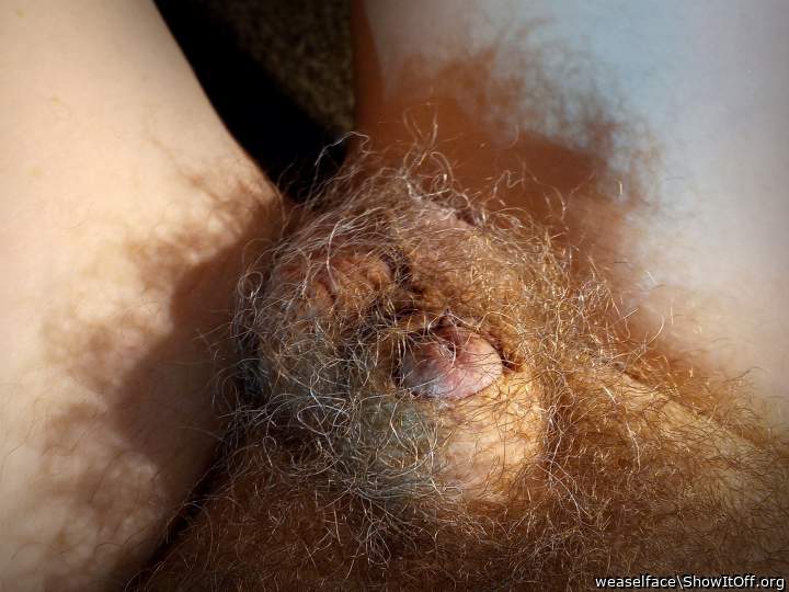 Photo of a thing from weaselface