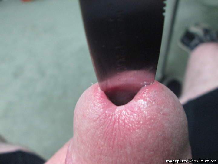 Photo of a penis from megaplum