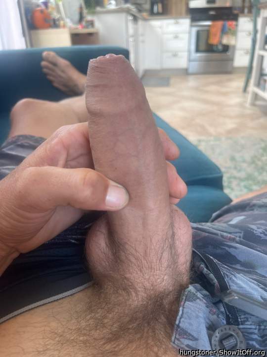 Photo of a lizard from hungstoner