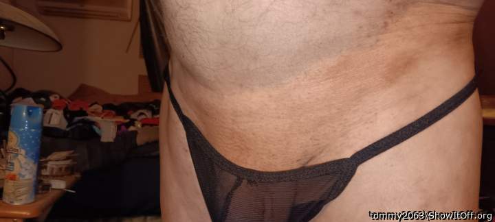 Photo of a dong from tommy2063