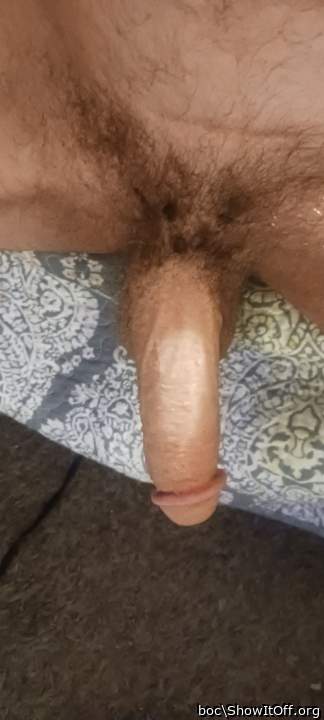 Photo of a short leg from boc