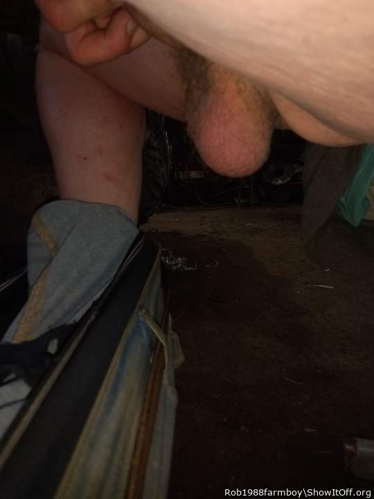 Testicles Photo from Rob1988farmboy