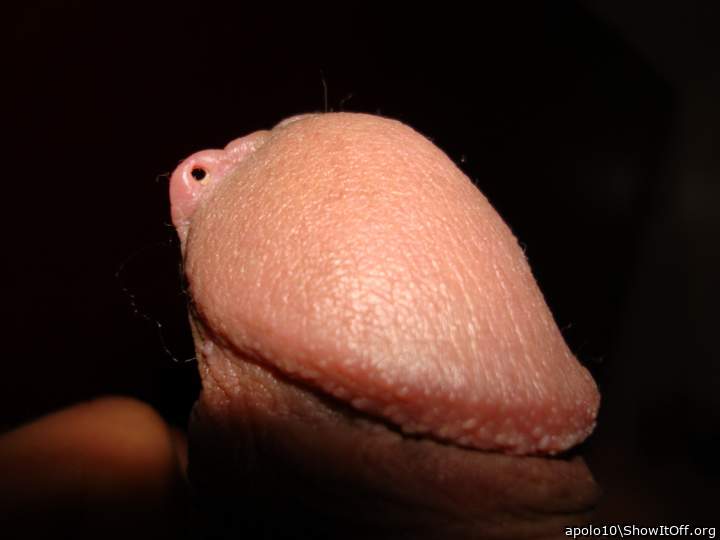 Photo of a pecker from apolo10