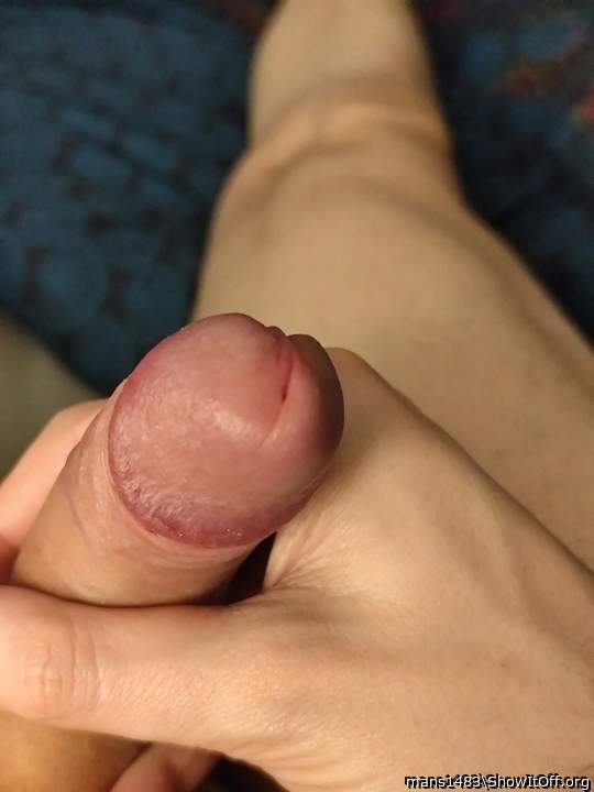 Photo of a cock from mans1483