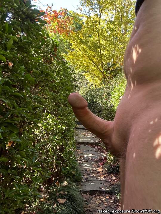So horny at the Japanese garden