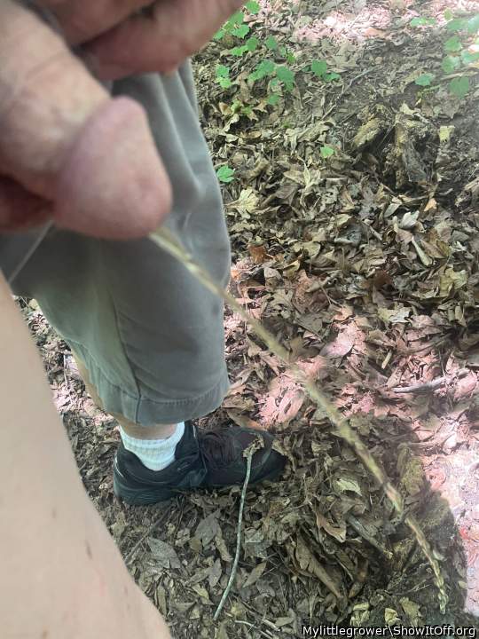 Photo of a bald-headed mouse from Mylittlegrower
