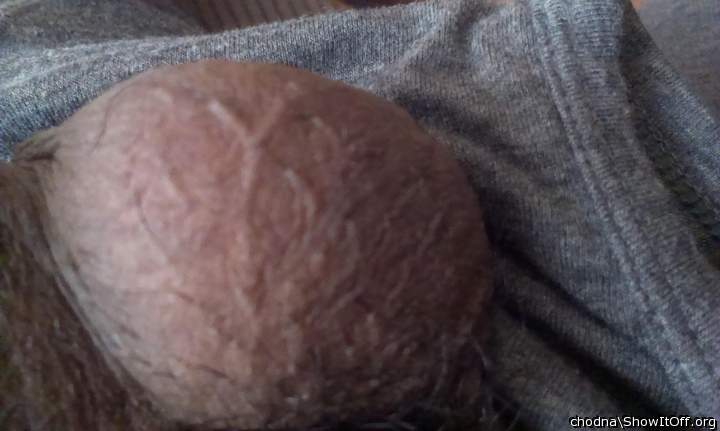 Testicles Photo from chodna
