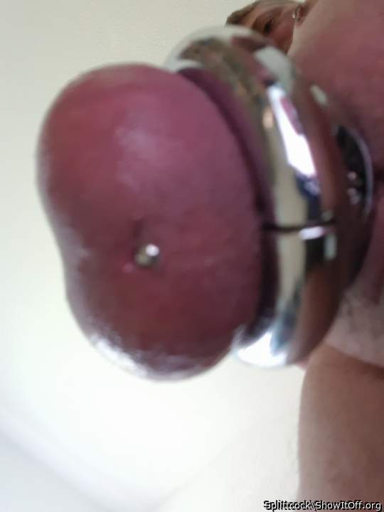 Testicles Photo from Splittcock