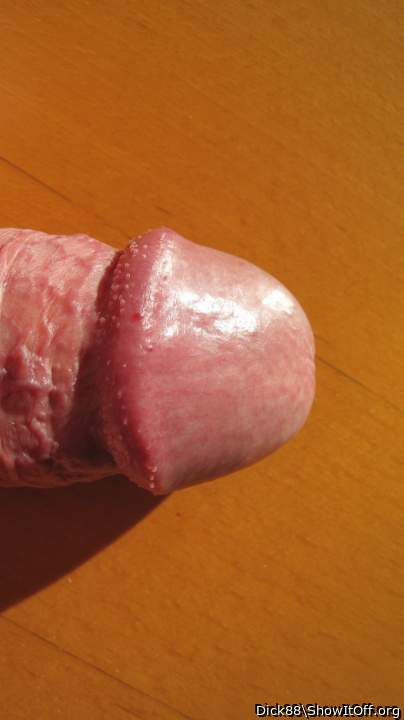Photo of a phallus from Dick88