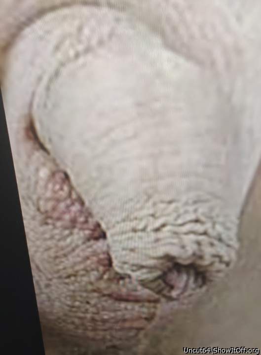 Photo of a bald-headed mouse from Uncut64
