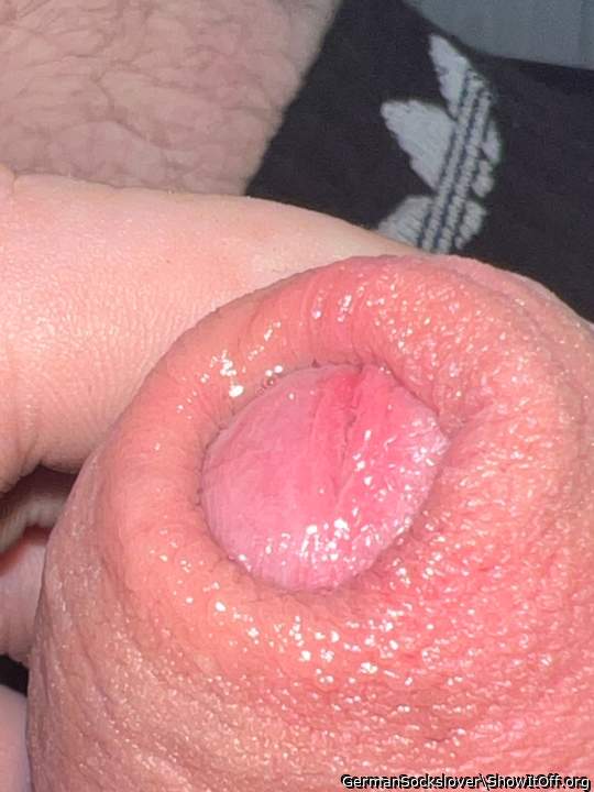 Photo of a cock from GermanSockslover