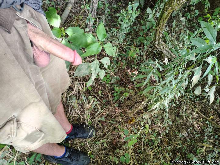 Photo of a middle leg from Birddog7