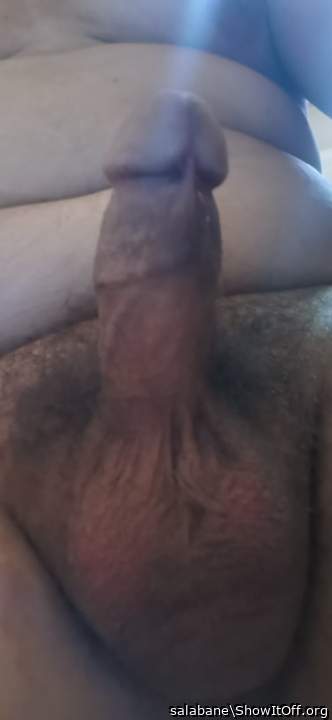 My hairy dick