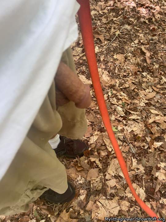 Taken my dog for a walk