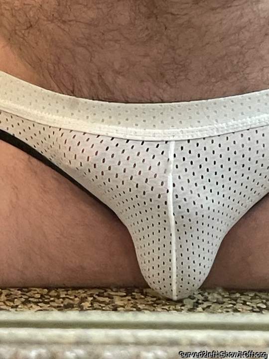 Photo of a middle leg from Curved2left