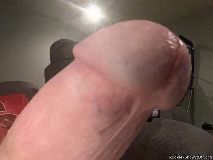 Photo of a private part from Rookie