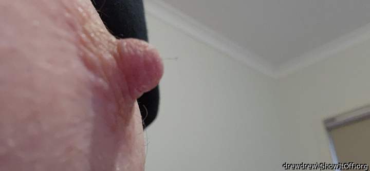 Photo of a pecker from drewdrew