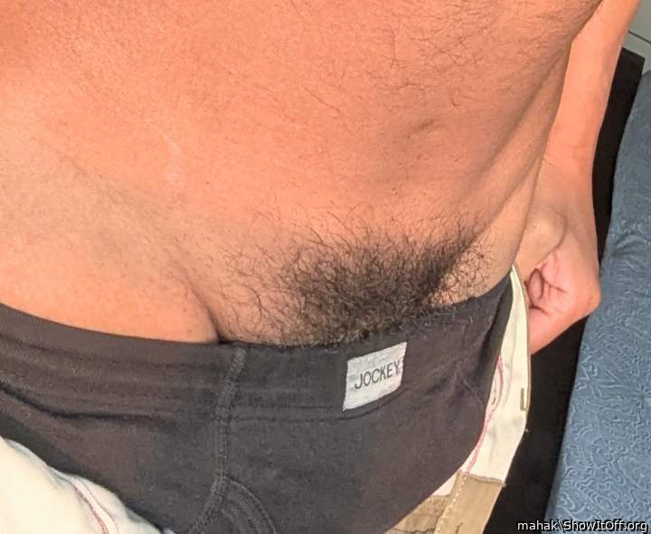 Photo of a python from mahak