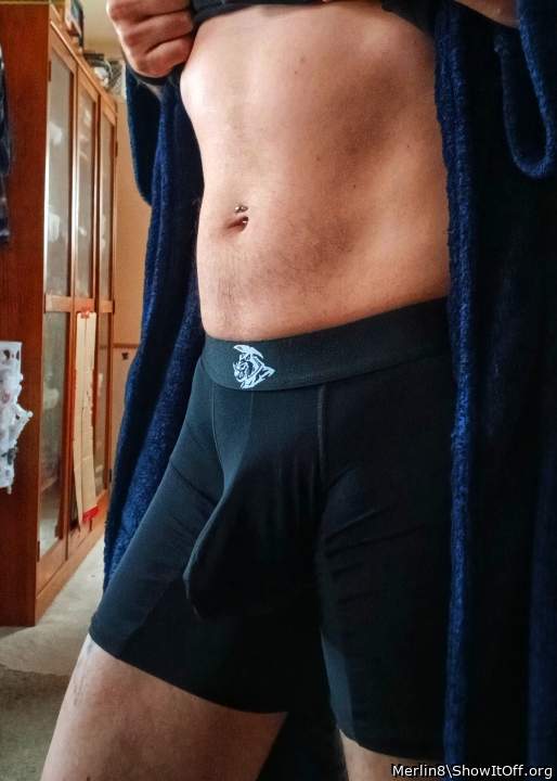 Photo of a snake from Merlin8