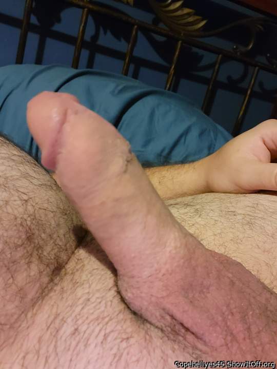 Photo of a phallus from Copehellyes45