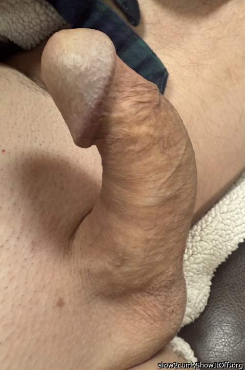 Photo of a horn from slow2cum