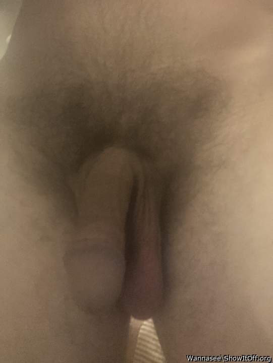 Photo of a power tool from Wannasee