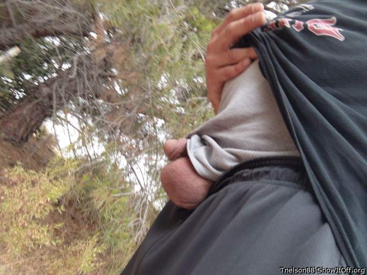 Photo of a python from Tnelson88