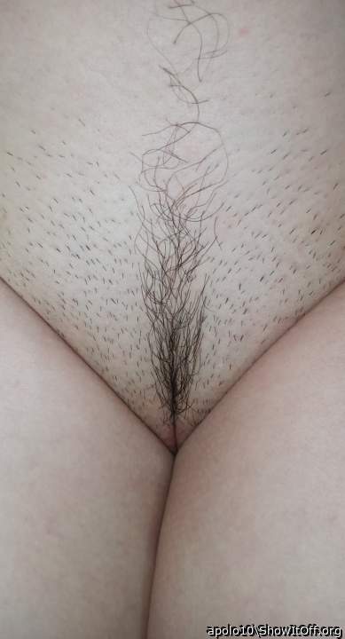 Adult image from apolo10