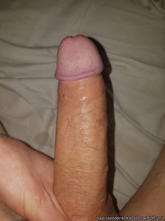 Photo of a cock from Saarlaender40XXL