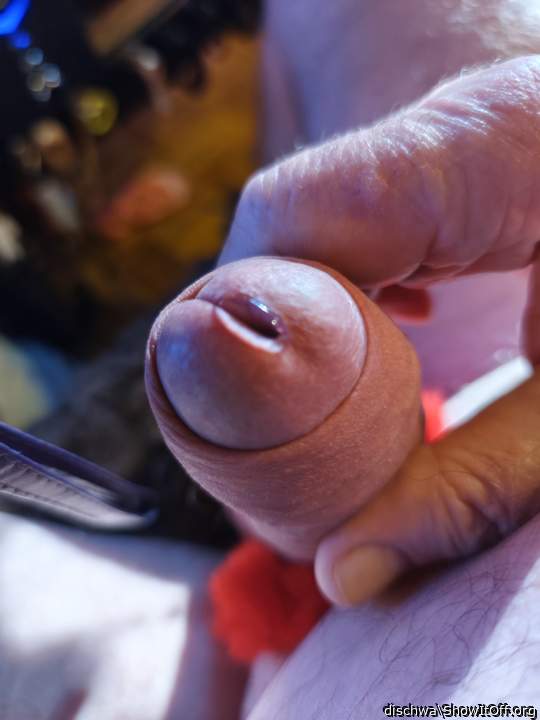 Photo of a tool from dischwa