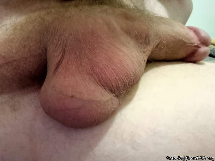 Testicles Photo from OrsonPig
