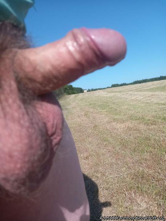 Photo of a python from Rob1988farmboy