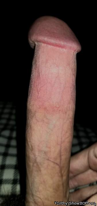 Photo of a middle leg from F1ilthy